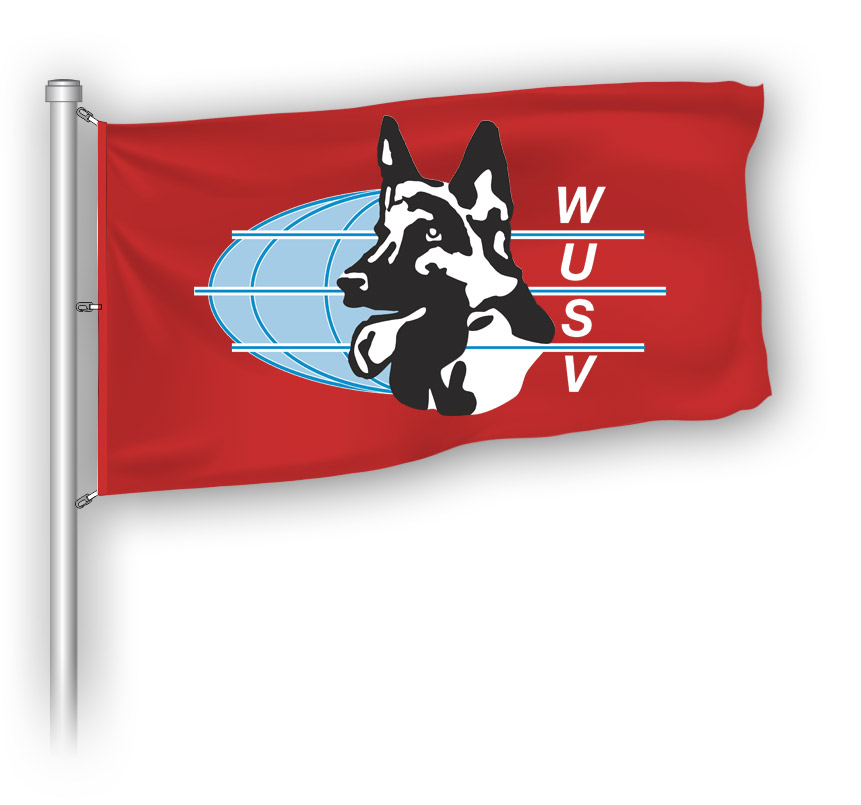 Werbeflagge